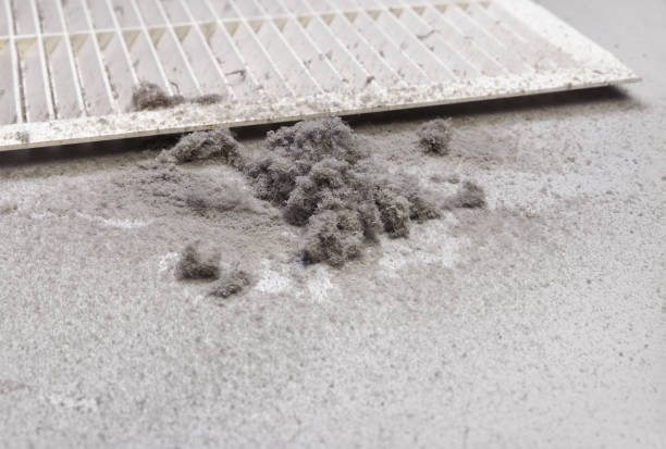 Best HVAC Air Duct Cleaning  in Boiling Spring Lakes, NC