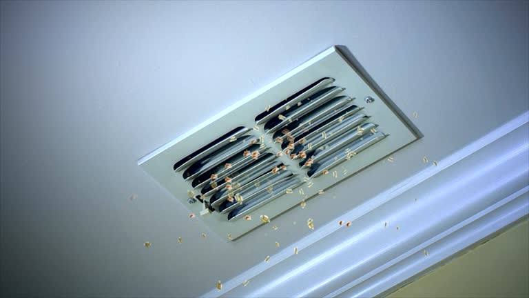 Affordable HVAC Duct Cleaning in Boiling Spring Lakes, NC