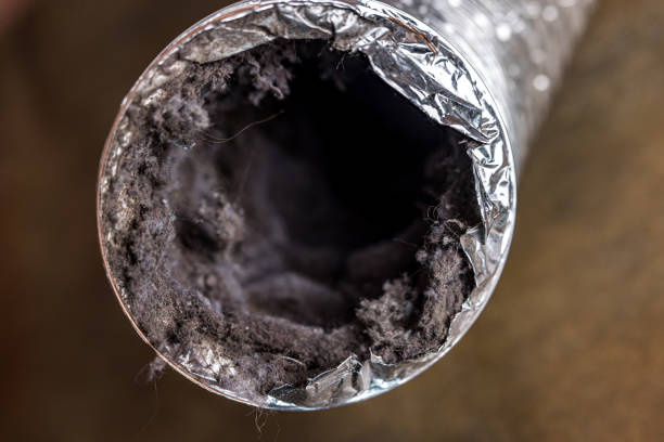  Boiling Spring Lakes, NC Airduct Cleaning Pros