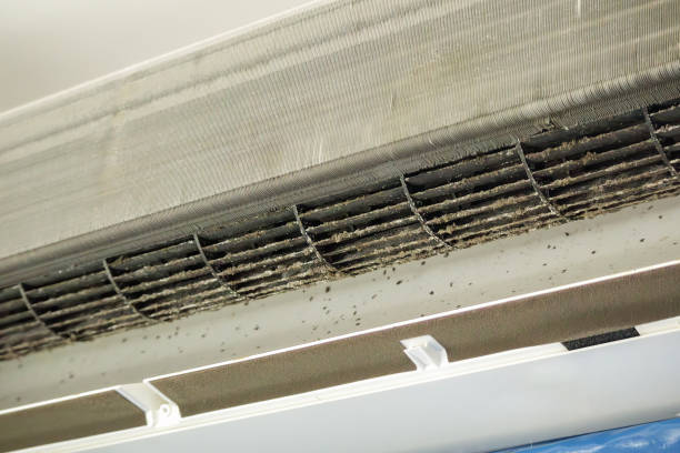 Best Commercial Air Duct Cleaning  in Boiling Spring Lakes, NC